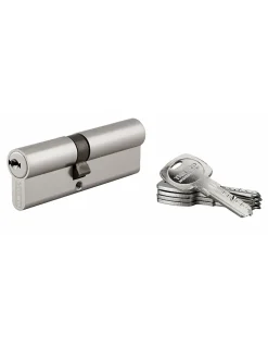 Thirard Cylindre de serrure double entrée Trafic 6, 40x50mm, nickel, anti-arrachement, anti-perçage, 5 clés -