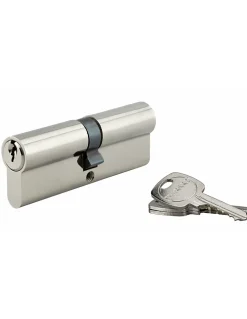 Thirard Cylindre de serrure double entrée, 45x45mm, anti-arrachement, nickel, 3 clés -
