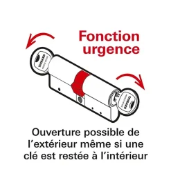 Thirard Cylindre de serrure double entrée T2, 30x60mm, nickel, anti-arrachement, anti-perçage, anti-crochetage, 5 clés -