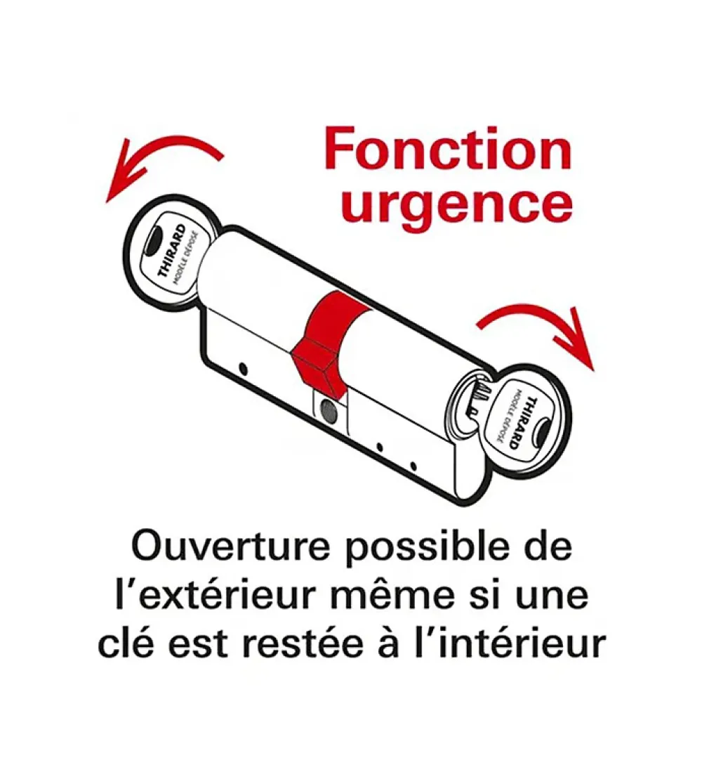 Thirard Cylindre de serrure double entrée T2, 30x60mm, nickel, anti-arrachement, anti-perçage, anti-crochetage, 5 clés -