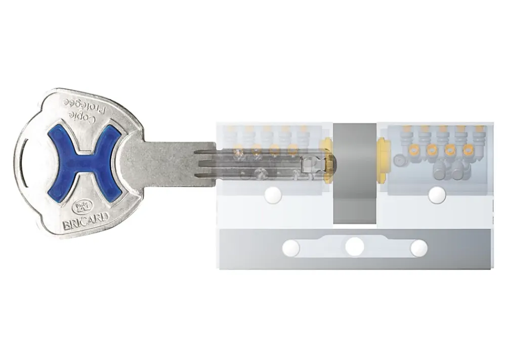 Bricard Cylindre De Serrure-Cylindres débrayables Chifral x40 L.40x50 mm