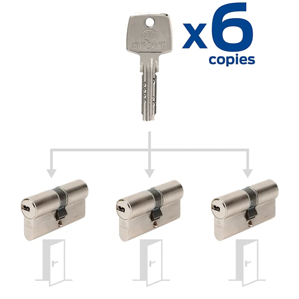 Bricard Cylindre De Serrure-3 Cylindres débrayables 30x30/30x30/30x30 mm avec 6 clés