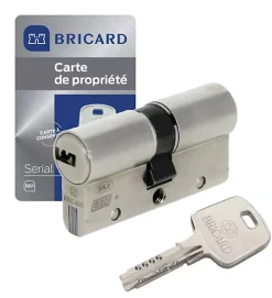 Autres Cylindre serrure européen double entrée 30 x 40 mm debrayable 4 clés Serial S A2P 1 BRICARD