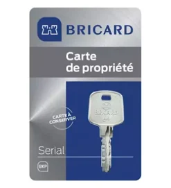 Autres Cylindre serrure européen double entrée 30 x 40 mm debrayable 4 clés Serial S A2P 1 BRICARD
