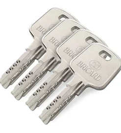 Autres Cylindre serrure européen double entrée 30 x 40 mm debrayable 4 clés Serial S A2P 1 BRICARD