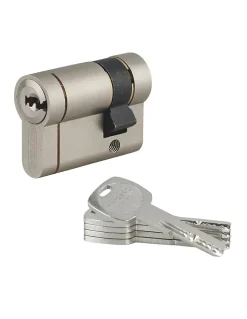 Thirard Demi cylindre de serrure Transit 1 UNIKEY (achetez-en plusieurs, ouvrez avec la même clé), 40x10mm, 5 clés, nickelé -