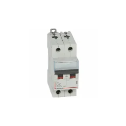 Legrand 407789 Disjoncteur Bipolaire 50a - 2p Courbe C - 6/10ka - à Vis - Dx3