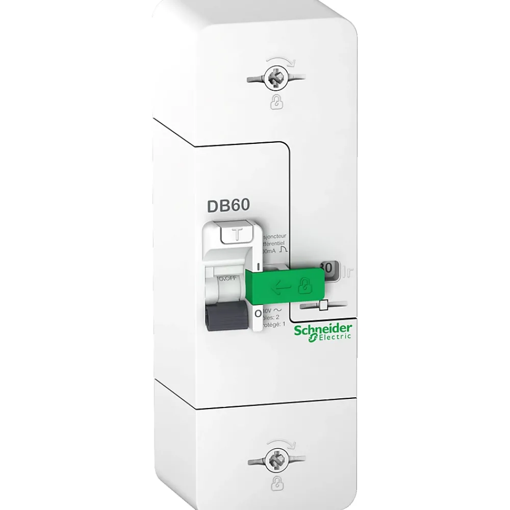 Schneider Electric Disjoncteur Et Coupe-Circuit-Disjoncteur branchement phase + neutre 60A fixe 500mA sélectif Resi9