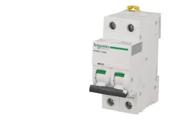 Schneider Electric Disjoncteur Et Coupe-Circuit-Disjoncteur modulaire bipolaire Schneider Acti9 iC60N 20A courbe D