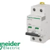 Schneider Electric Disjoncteur modulaire bipolaire Schneider Acti9 iC60N 16A courbe D