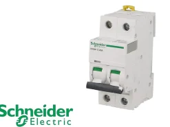 Schneider Electric Disjoncteur modulaire bipolaire Schneider Acti9 iC60N 16A courbe D
