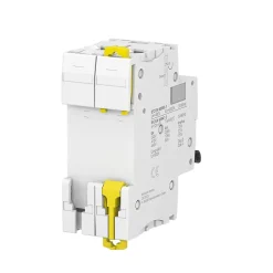 Schneider Electric Disjoncteur modulaire bipolaire Schneider Acti9 iC60N 16A courbe D
