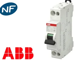 ABB Disjoncteur Et Coupe-Circuit-Disjoncteur modulaire phase neutre 40A 4.5kA à vis