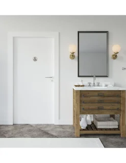 Thirard Disque de signalisation WC Handicapé , à visser, inox brossé, marquage noir, diamètre 76mm -