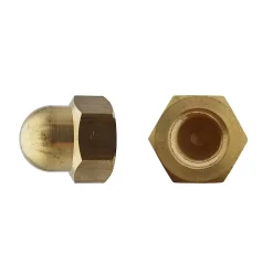 D-Work Écrou-200 Ecrous Borgnes M5 mm - DIN 1587 - Laiton -