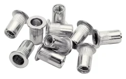 Rapid Ecrous à sertir M6, lot de 20 pièces