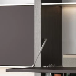 Emuca Charnière D'Ameublement-Piston de porte relevable Thin, diamètre 12mm, avec loquets, 10kg, acier et plastique, nickelé mat