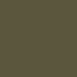 Arcane Industries Enduit d'étanchéité Piscine Cuve Hors Sol - ARCACIM S2 AQUA. Gris Marron Proche - RAL 7013 - 4 kg -