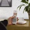 Blyss Ensemble interphone audio avec bouton Willi
