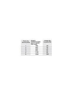 Thirard Ferme-Porte-Ferme-porte automatique hydraulique force 5, noir -