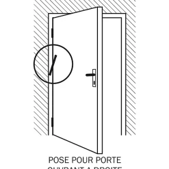 Diall Ferme-Porte-Ferme‑porte à recouvrement pour portes intérieures jusqu'à 60 kg maxi en acier longueur 280 mm
