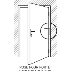 Diall Ferme-Porte-Ferme-porte à tige aluminium 28cm