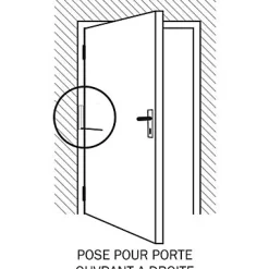 Diall Ferme-porte à tige noir Aluminium