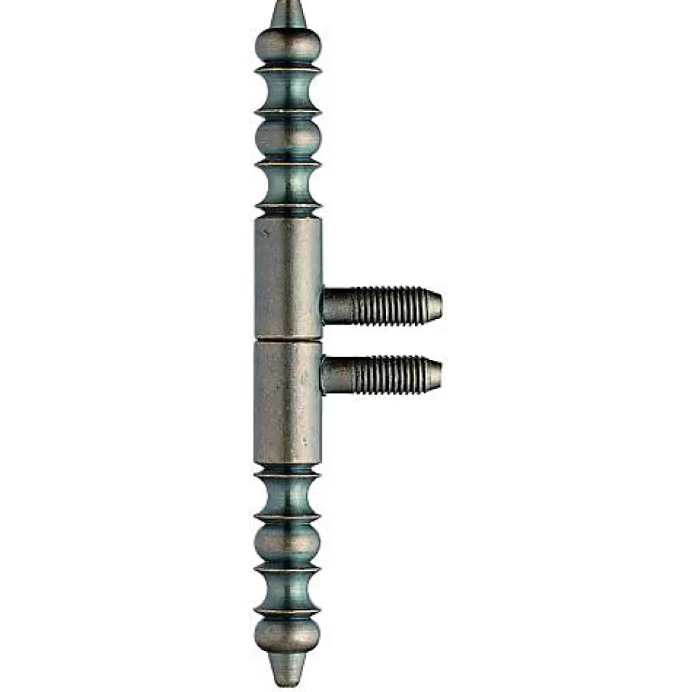 Otlav Charnière D'Ameublement-Fiche provence 210 polie vernie 13mm - - CFCG210130G208