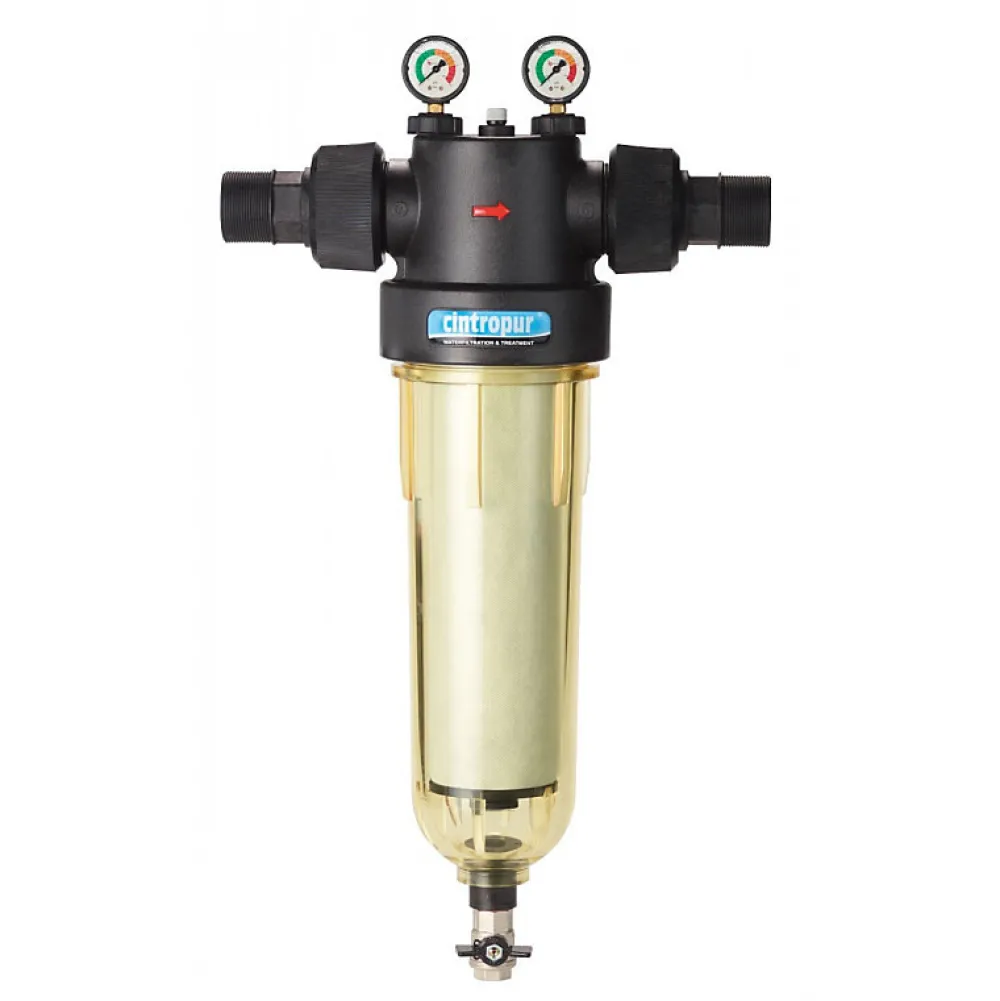 Cintropur Filtre 131/50 2" NW500