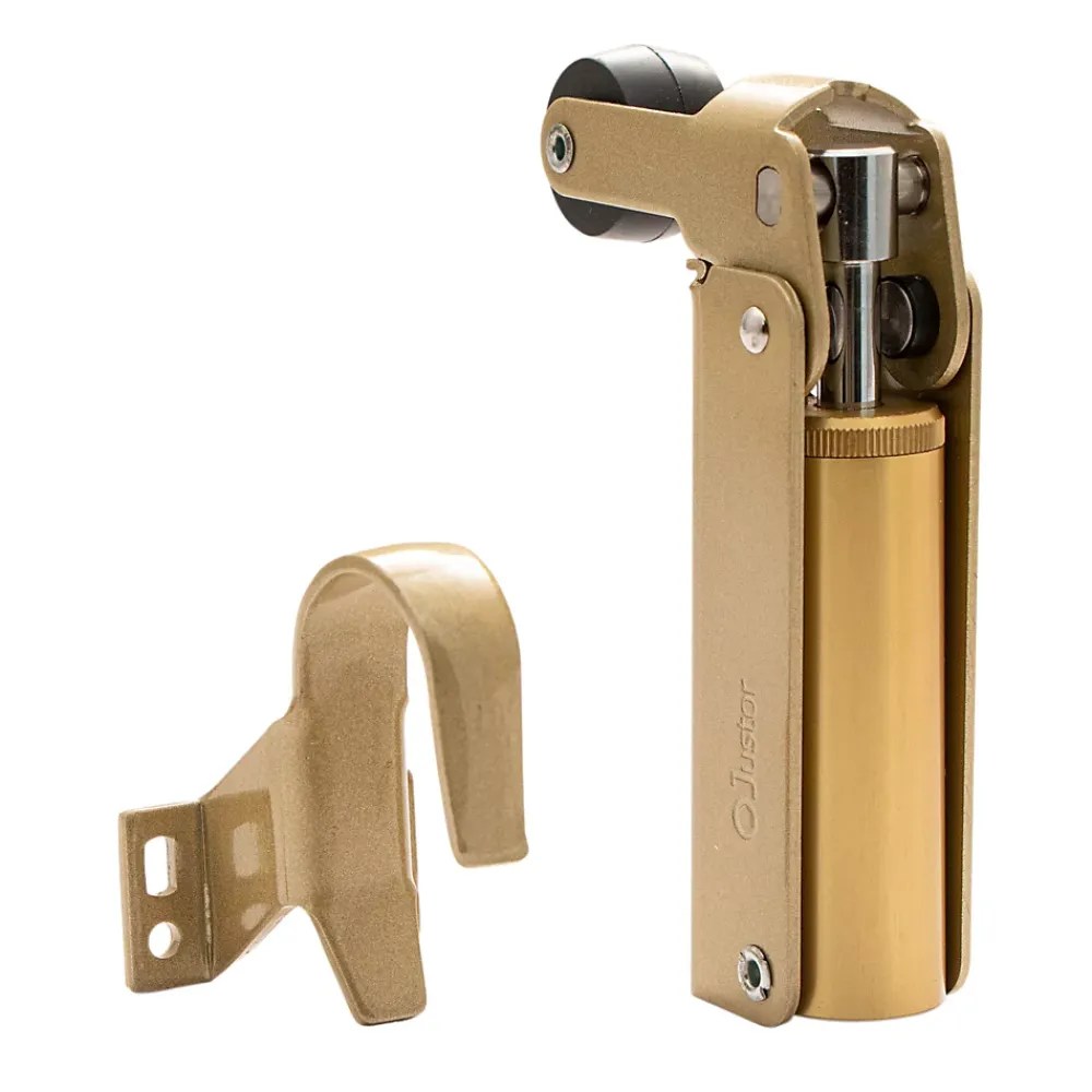 Hardwarexchange Ferme-Porte-Frein de rétention force 80 N en aluminium anodisé or, pour porte jusquà 80 KG.