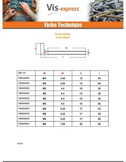 Vis Express Gond Métaux M5X50 Acier zingué - 10 pièces