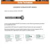 Vis Express Goujon D'Ancrage-Goujon Ancrage R-XPT M20X200 Acier zingué - 10 pièces