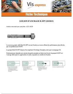 Vis Express Goujon D'Ancrage-Goujon Ancrage R-XPT M20X200 Acier zingué - 10 pièces