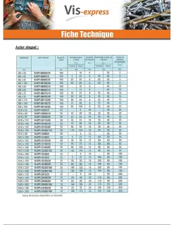 Vis Express Goujon D'Ancrage-Goujon Ancrage R-XPT M12X180 Acier zingué - 200 pièces