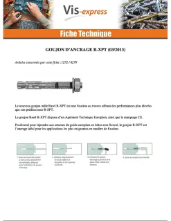Vis Express Goujon D'Ancrage-Goujon Ancrage R-XPT M10X115 Acier zingué - 50 pièces