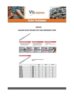 Fischer Goujon fileté STST TORX T25 Acier zingué 10X180 - 5 pièces