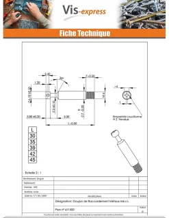 Vis Express Écrou-Goujon RACCORDEMENT Métaux 6X35 Acier zingué - 200 pièces