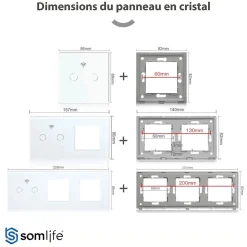 Somlife Interrupteur connecté tactile double application tuya smart life Compatible avec Alexa/Google Home