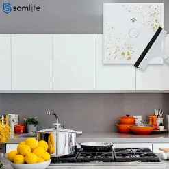 Somlife Interrupteur connecté tactile double application tuya smart life Compatible avec Alexa/Google Home