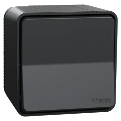 Schneider Electric Interrupteur En Saillie|Interrupteur Étanche-Interrupteur poussoir étanche complet saillie Mureva Styl anthracite