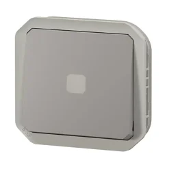 Legrand Interrupteurs temporisé - Plexo - - Composable - Témoin lumineux