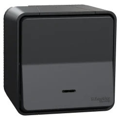 Schneider Electric Interrupteur En Saillie-Interrupteur va-et-vient lumineux étanche complet saillie Mureva Styl anthracite