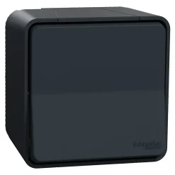 Schneider Electric Interrupteur va-et-vient étanche complet saillie Mureva Styl anthracite
