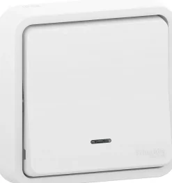 Schneider Electric Interrupteur va-et-vient étanche complet encastré Mureva Styl blanc