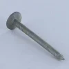 Homme Vis Express Clou À Tête D'Homme-Kg de pointes ARDOISE Tête extra large TEL 2.7X30 Diamètre de tête: 11 Forte tenue à la corrosion Acier galvanisé - 1 pièce