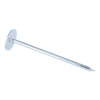 Homme Vis Express Clou À Tête D'Homme-Kg de pointes Embase collerette RONDE Diamètre de tête: 20 Acier zingué 3.5X80 - 1 pièce