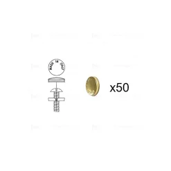 Hardwarexchange 1 kit composés de 50 cache-vis laiton poli, Lot de 6