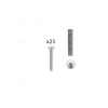 Hardwarexchange 1 kit composés de 25 vis M4X30 mm zinguée
