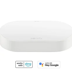 Somfy Kit de connectivité 1870755 pour contrôler les moteurs io & RTS et l’éclairage avec un smartphone