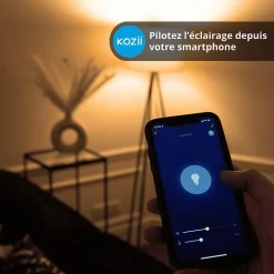 Kozii Commande De L'Éclairage-- Multi prise connectée 16A 3680W max avec 3 prises et 2 ports USB - KMPRI3680